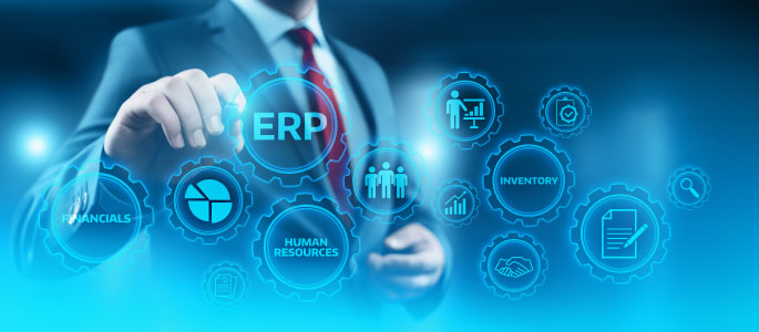 ERP Software System